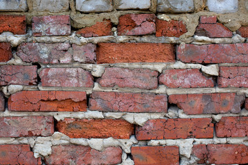 Obraz premium Red aged brick traced texture