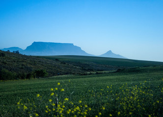 Table Moutain