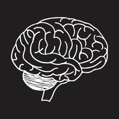 Freehand illustration of an isolated brain. White outlines on the dark background.