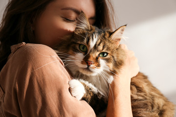 Portret van een jonge vrouw met schattige Siberische kat met groene ogen. Vrouw knuffelt haar schattige langharige kat. Achtergrond, kopieer ruimte, close-up. Schattig huisdier concept.