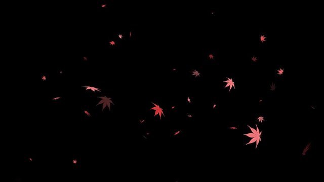 落ちていくもみじ