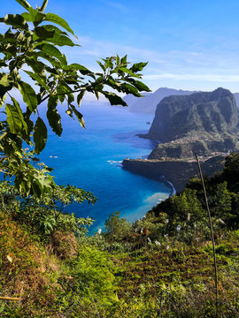 Penha d`Águia, Porto da Cruz , Faial ilha da Madeira, Portugal