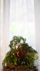 window, little table by the window, bouquet, original bouquet, cosiness, interior, branches, flower arrangement, needles, berries, conifer cones, leaves, juniper, leaves, moss, fern, seeds, curtains, 