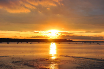 Brownsea island sunset in the summertime