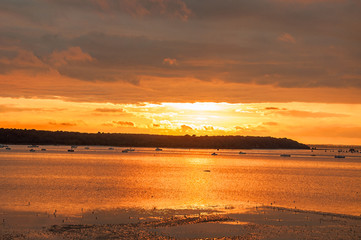 Golden sunset on Poole harbour