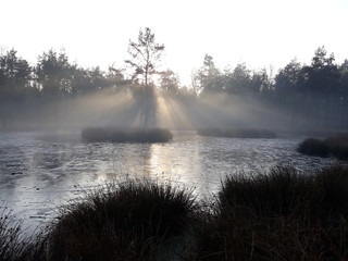 fog over frozen lake at twilight