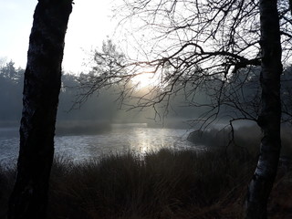 fog over the frozen lake in winter