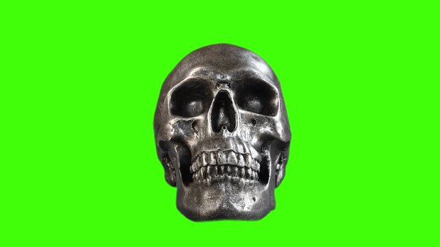 Hand Poses Silver Skull On Green Screen
