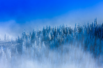 Winterwald und mystische Nebellandschaft. Schneeszene im Berg