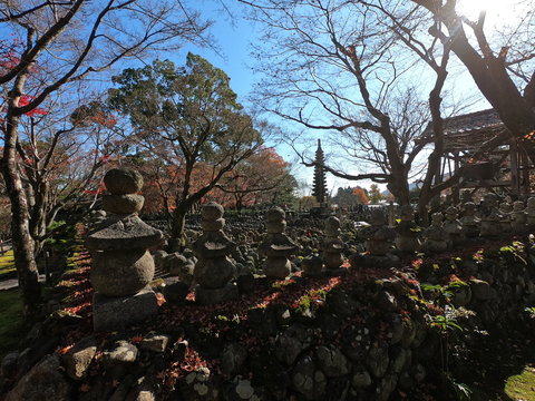 化野念仏寺」の写真素材 | 267件の無料イラスト画像 | Adobe Stock