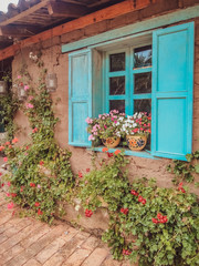 Facade of a traditional house with light blue shutters and ivy flowers in Ecuador