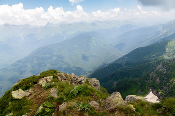 Beautiful mountain landscape in summer. Mountains with flowering Alpine plants.