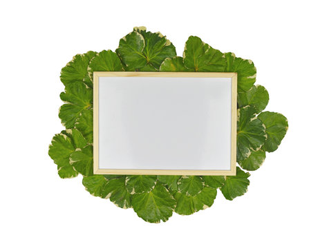 Empty wooden picture frame placed on a green leaf background