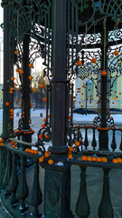 Tangerines on the rotunda 2