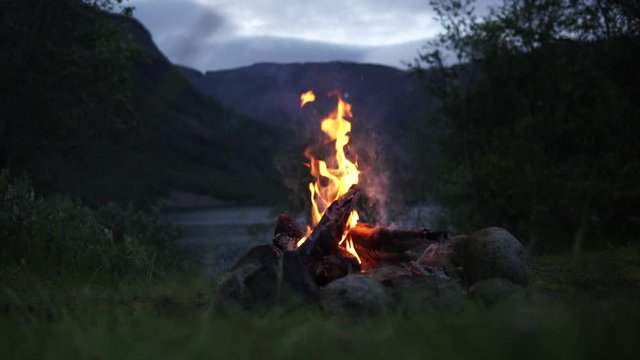 Warm cozy Camp-fire in evening. Bonfire in nature as background.