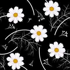 Floral background. Seamless pattern. Wild flowers. Cosmos flowers. White.