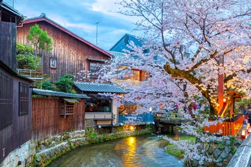 Wall murals Kyoto Kyoto, Japan at the Shirakawa River in the Gion District during the spring cherry blosson season.