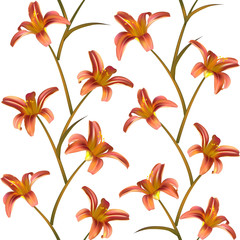 Flowers. Floral background. Lilies. Seamless pattern. White. Orange.