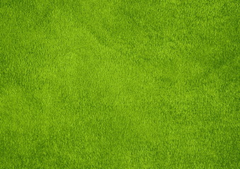 Suede. The texture of the skin is natural. Background of green
