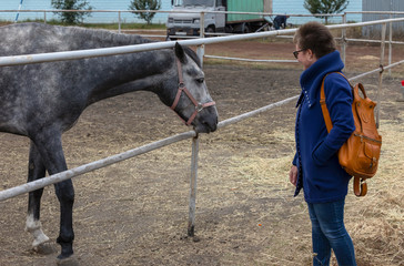 A woman in a blue coat stroking a horse in the paddock. Communicating with animals means getting...