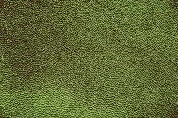 Leather. Green. Gradient. The structure of the skin material close-up.