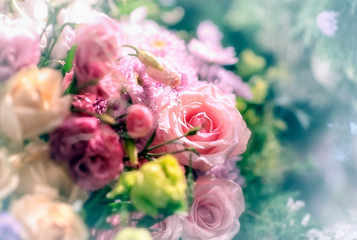 Closeup image of beautiful flowers wall background with amazing red and white roses Retro filter.