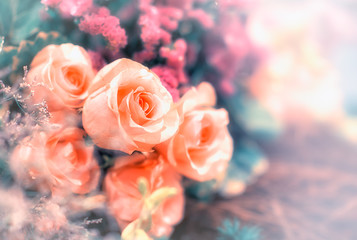 Closeup image of beautiful flowers wall background with amazing red and white roses Retro filter.