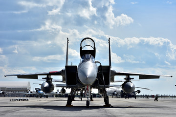 Fototapeta premium FIGHTER