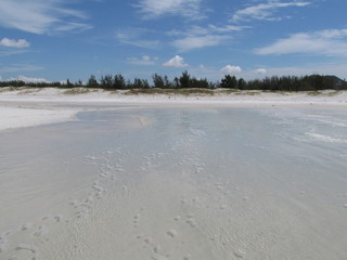 Summer morning at the beach with high tide.