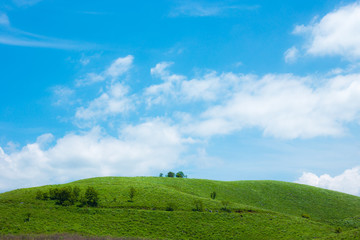 青空と野原