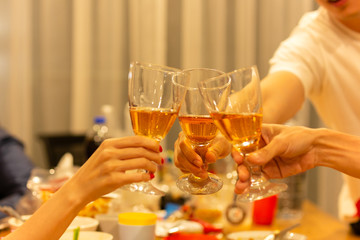 Grpup of friend toasting with glass of white at dinner party.