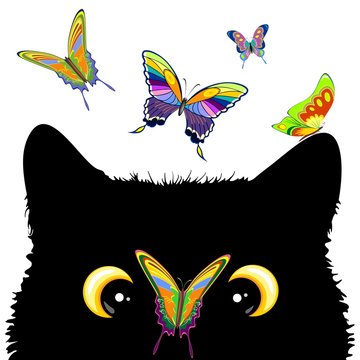 Cat with Butterfly on nose Cute and Naughty Vector Character 