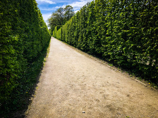 labyrinth road close up view