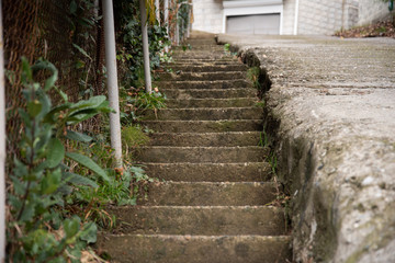 An old concrete staircase covered with green moss. Old staircase on the street of the old city. Stairs leading up.