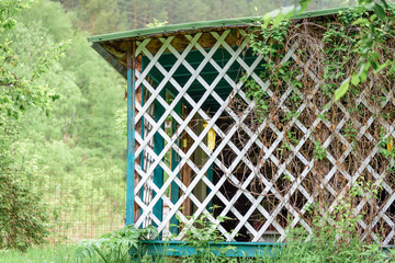 Garden gazebo with wooden grill for relaxing in the garden.