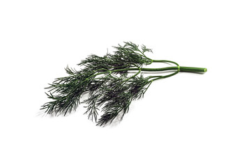 Branch of green dill on a white background
