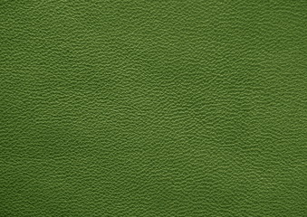 Leather. Green. Gradient. The structure of the skin material close-up.