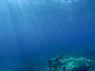 Fototapeta na wymiar abstract underwater background
