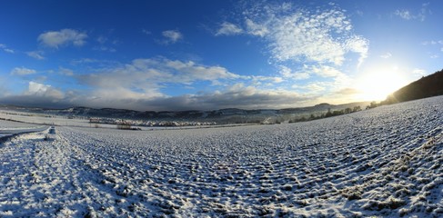 panorama of a winter landscape