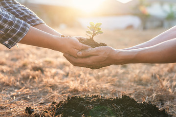 Environment earth day in hands, two people holding of young sprout trees growing seedlings, protection for care new generation to be planted into the soil in the garden as save world concept