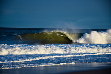 Barrel in the Spotlight