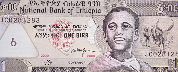 Ethiopia 1 birr banknote. Ethiopian currency, money, economy, trade, market.