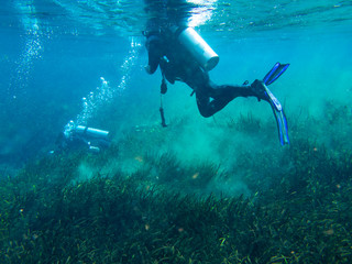 Fototapeta na wymiar View of divers underwater in search and rescue exercise.