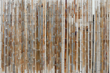 Ancient bamboo border wall made from bamboo sticks
