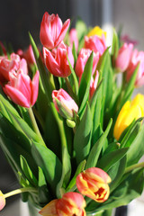 bouquet of tulips