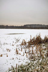 winter landscape with river and forest