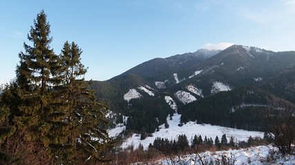 Winter mountain landscape of part of Low Tatras mountains, northern Slovakia, during early january. Spruce trees in front on the left side. 