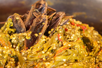 Northern Thai Green Chilli Dip with giant water bug ( Lethocerus indicus Lep.-Serv.)