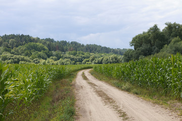 Countryside agricultural landscape.