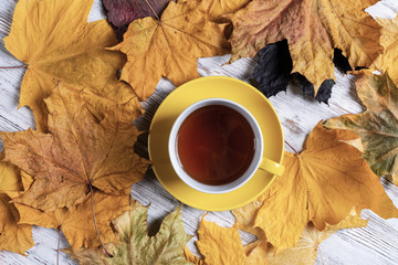 Flat lay autumn composition with cup of black tea